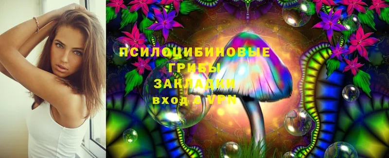 Псилоцибиновые грибы Magic Shrooms  Петушки 